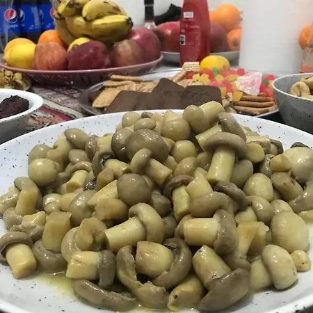 Otdoxhi Oda ve Kahvaltı